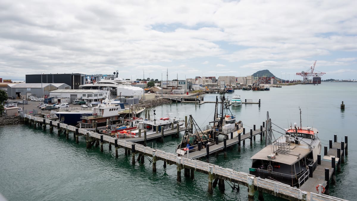 Tauranga marine precinct sale stopped after interim injunction granted