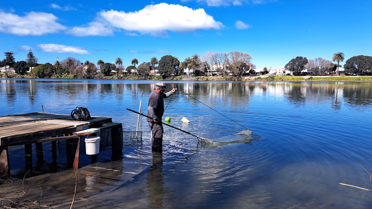 ‘Culturally unacceptable’: Wairoa’s fight to ban mortuary waste in its waterways